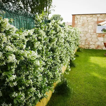 Bed & Breakfast Cinzia E Roby Villaganzerla